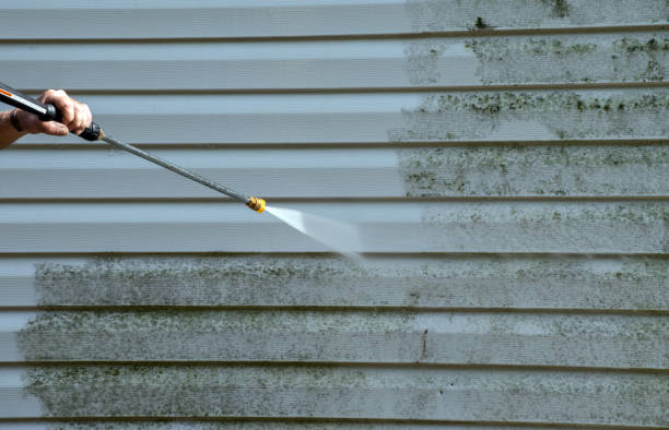 Best Fence Pressure Washing  in Peoria Heights, IL